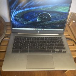 Hp Chromebook Laptop
