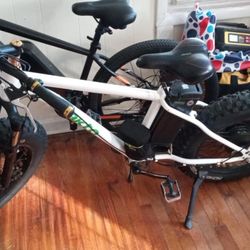 Electric Bike