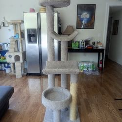 Cat Tree