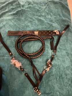 Whip, Gag Balls, Collar Lingerie Set