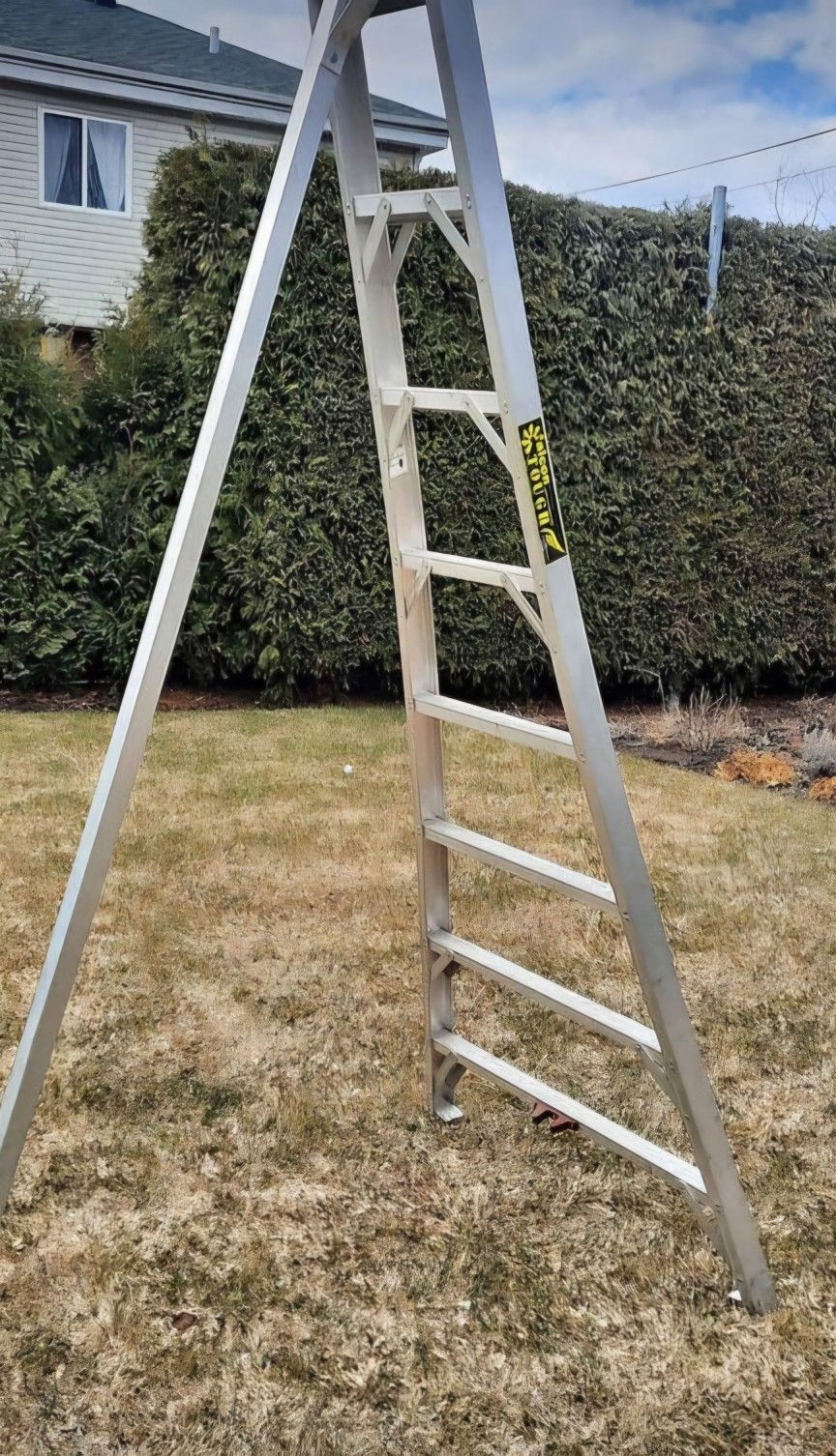 8ft Gardening Orchard Ladder