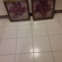 Pretty Picture Framed Flowers Like New 