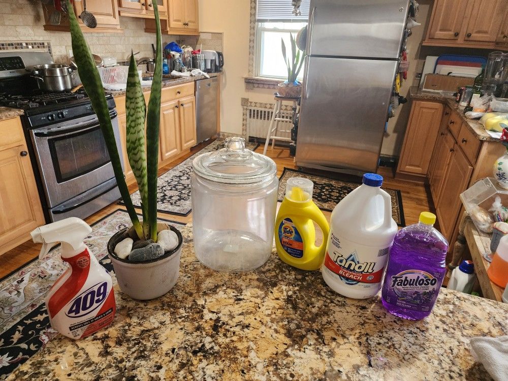 5 Gal Storage Glass Jar The Snake Plant & Cleaners...all Brand New .all For Only $15