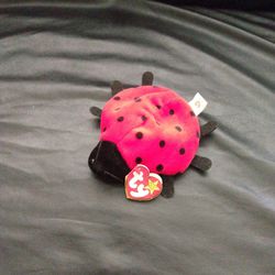 RARE TY Beanie Babies Lucky The Ladybug with 21 Spots