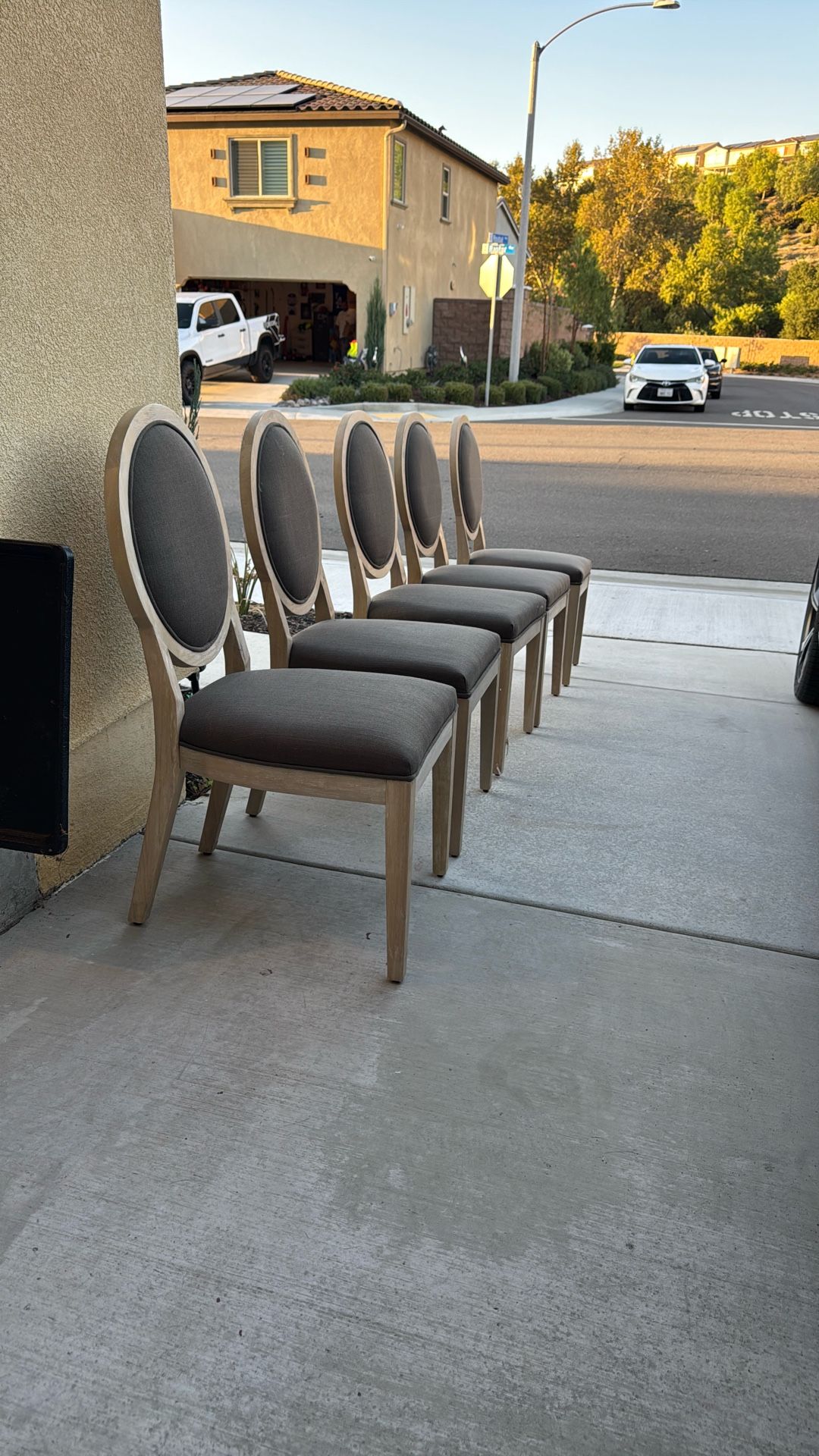 Dining Chairs