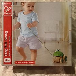 Toy Pull-Along Frog