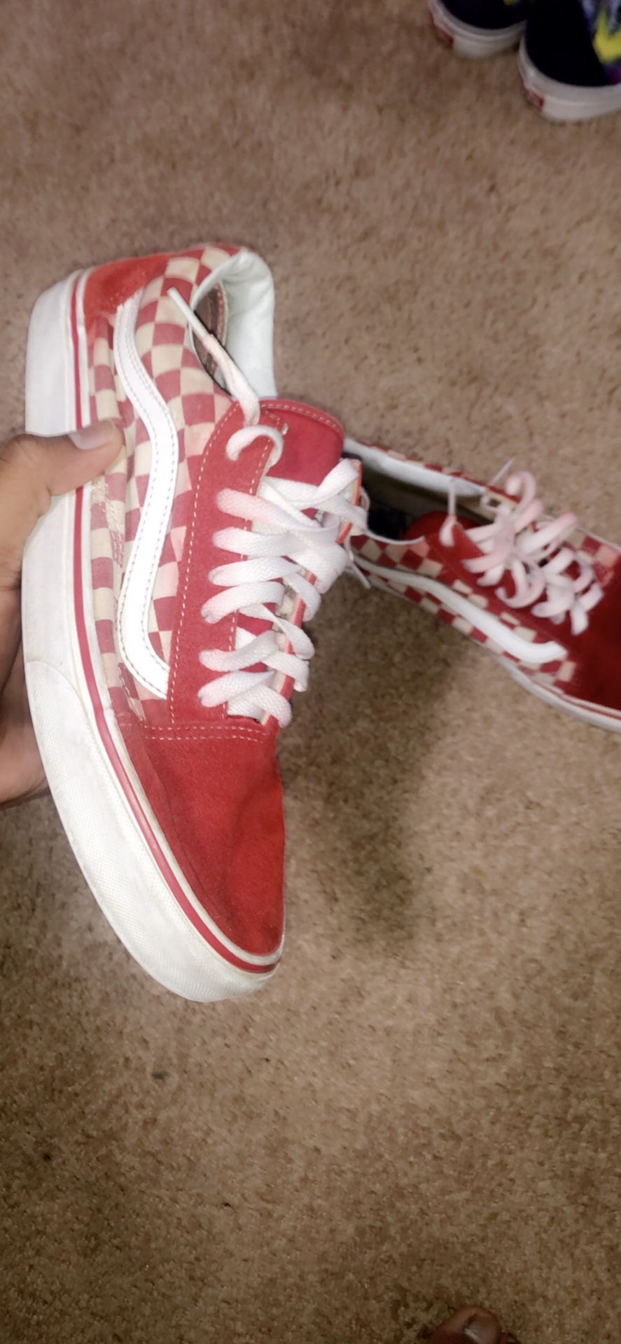 vans sz 10