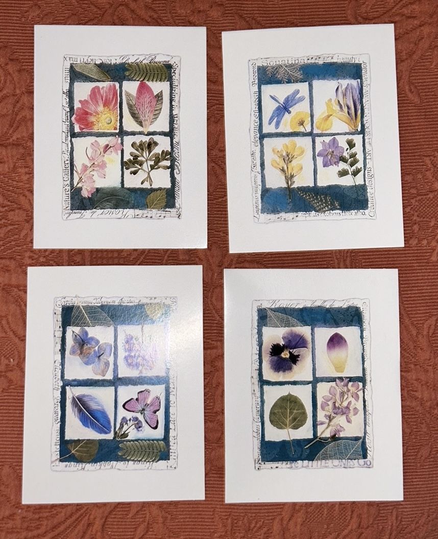 Boxed Set of Envelopes & Blank Cards, 24 Cards (4 designs)