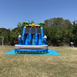 Blue Dolphin double Lane Waterslide 18Ft