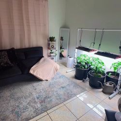 IKEA Navy blue Sofa/Futon