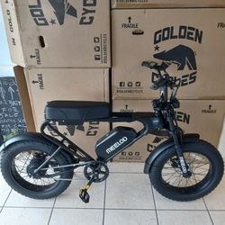 New Meelod Dk200f Electric Bike 