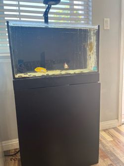 Aquarium/fish tank 20 gallon all in one