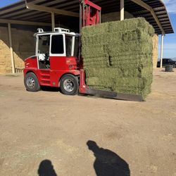 Alfalfa