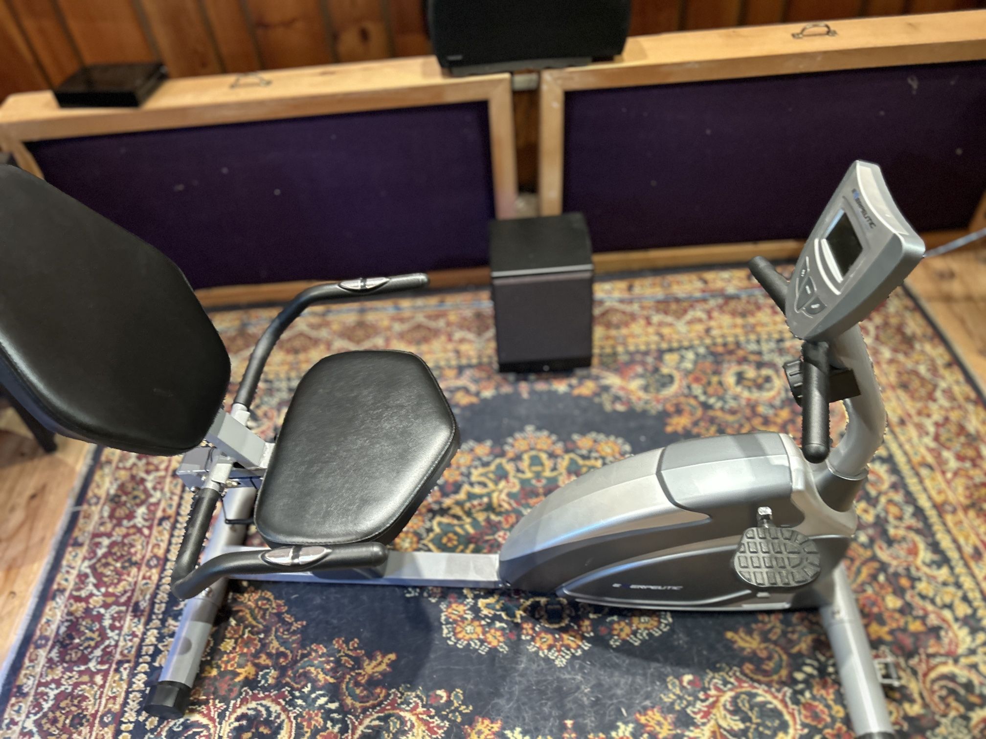 Recumbent Bike
