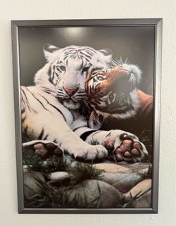 Framed Tiger Print Wall Art