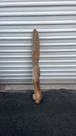 Natural Driftwood Piece