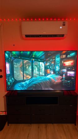 Insignia 65 inch tv