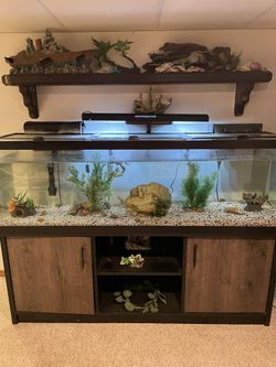 72” Fish Tank