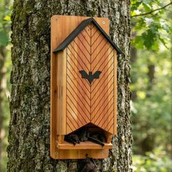 NEW Rewild Wooden Bat House  Outdoor Garden Wildlife Habitat 25" Wall Mount.