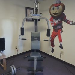Total Gym