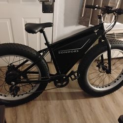 Fatboy Electric Bike 