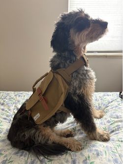 Dog pack vest