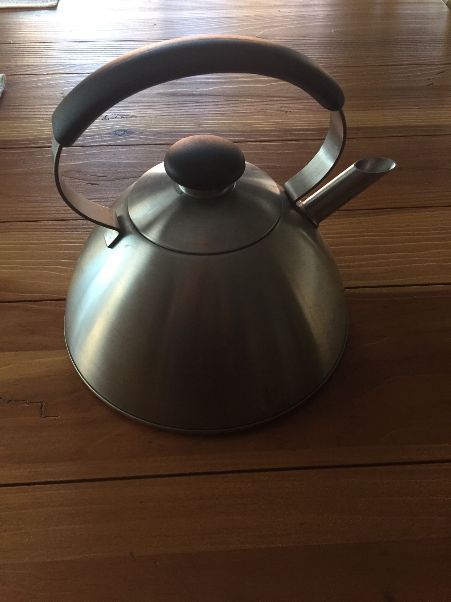 Stainless steel tea kettle