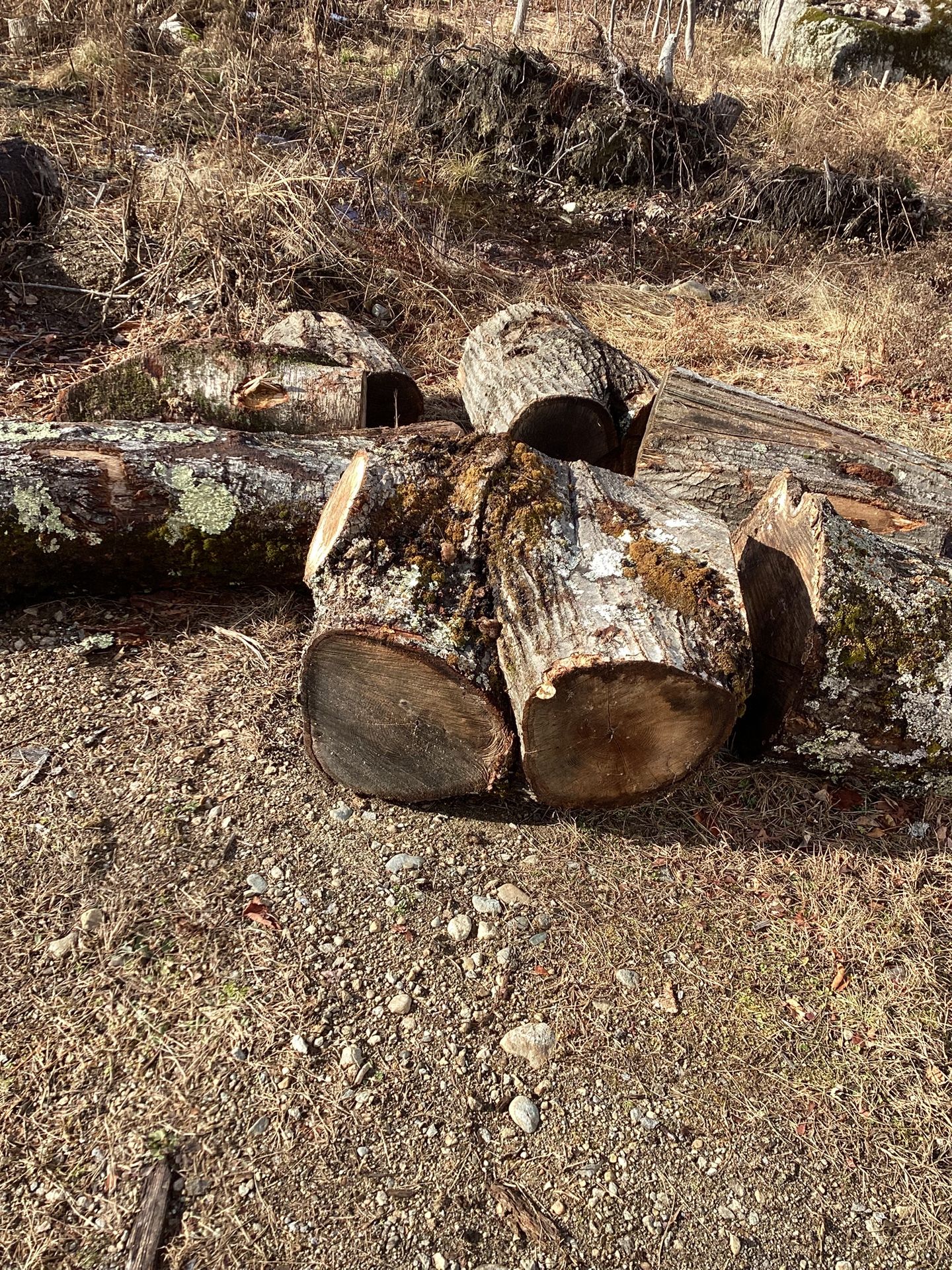Firewood