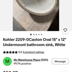 Koehler Carton Oval Undermount Bathroom Sink “15x12”