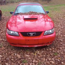 2003 Ford Mustang
