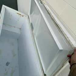 Deep freezer full length