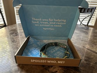 Tags for Hope Dog Collar