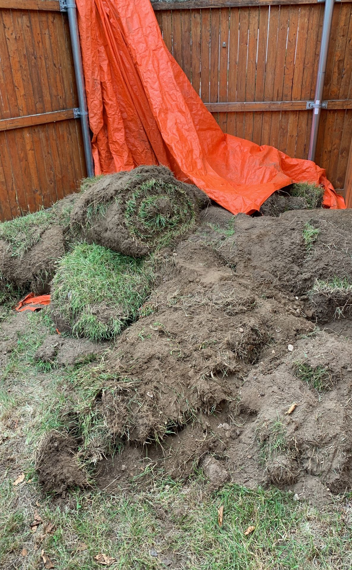 Free SOD grass dirt.