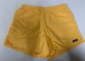 When’s Patagonia baggies shorts small