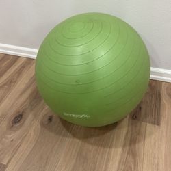 Exercise Ball 