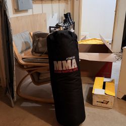 Boxing Bag
