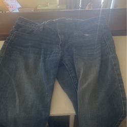 Pant