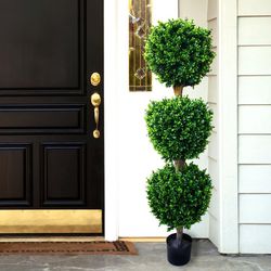 Two Brooklyn 60'' Faux Boxwood Topiary in Planter/ One For $150