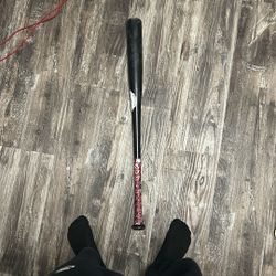 Sam BP Bat 