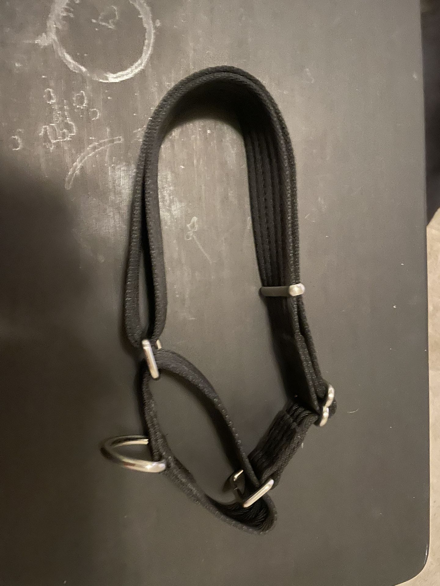 Dog Collar