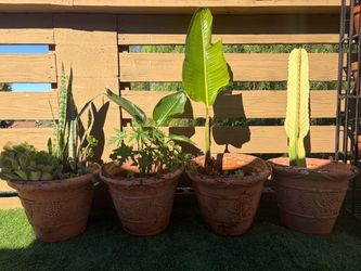 4 big resins pots 21 wide by 17 inches tall for only 60 dollars everything