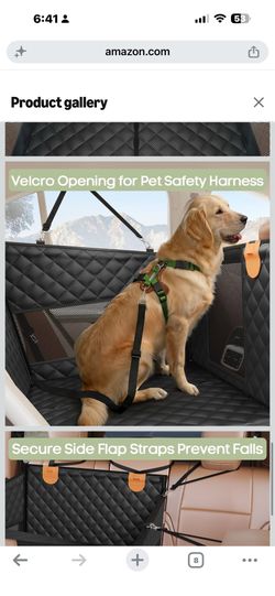 Brand new dog carrier