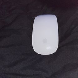 Apple Mouse 