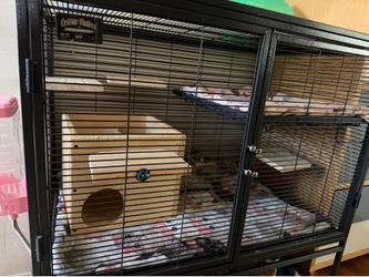 Ferret Nation cage