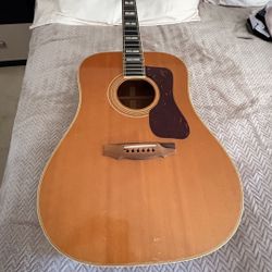 1973 D-55 Guild Acoustic Guitar