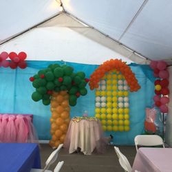 Peppa Pig Party