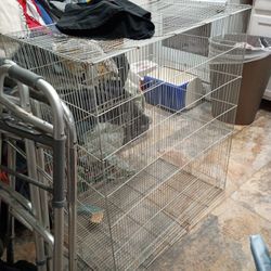 Bird Cage Very Big