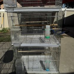 Bird Cages 