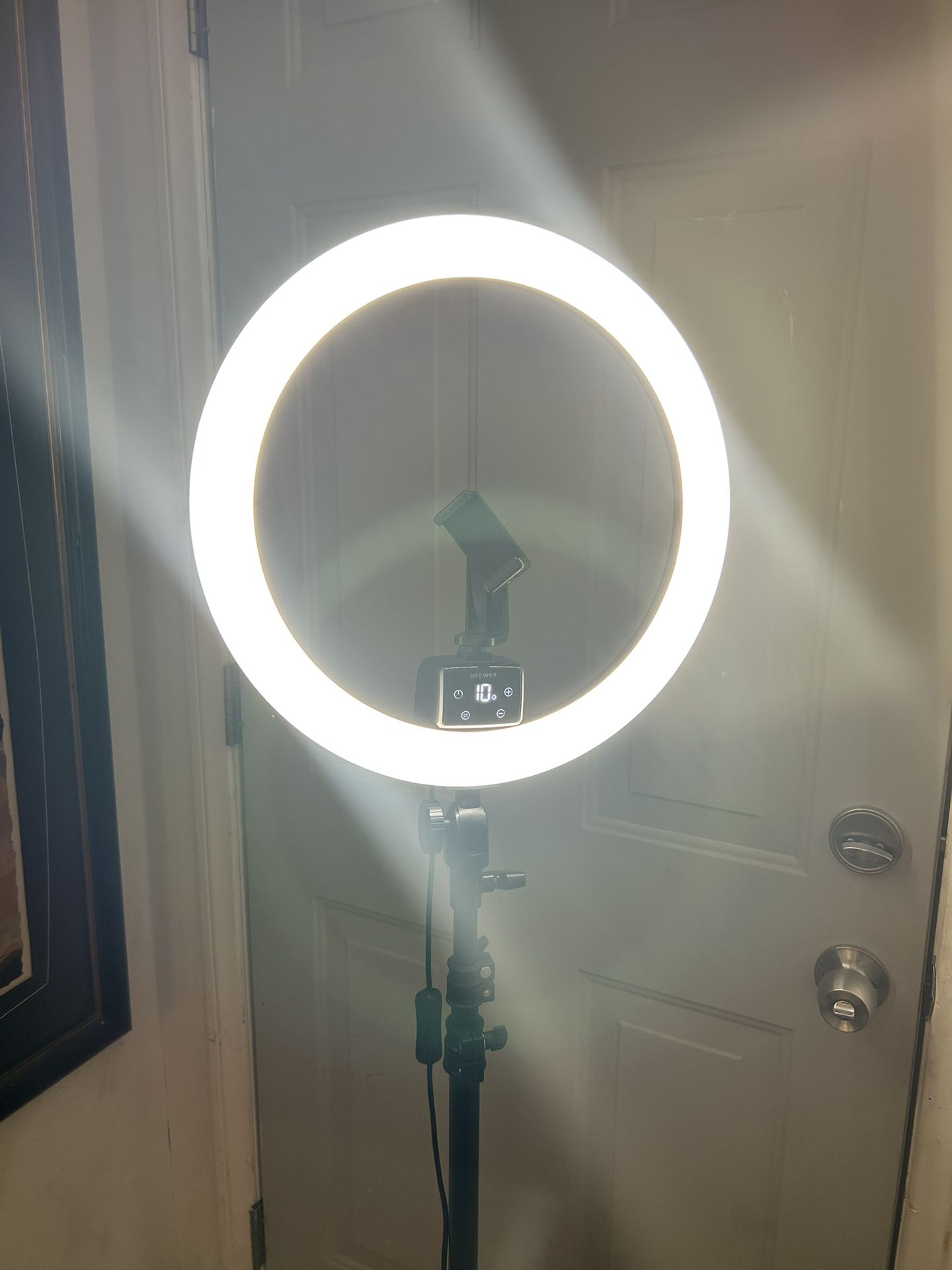 Ring light