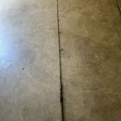 Fishing Rod